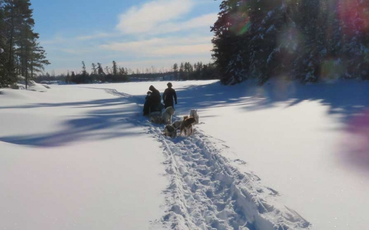 a team of sled dogs and their mushers make their way through a deep snowy trail with trees lining either side